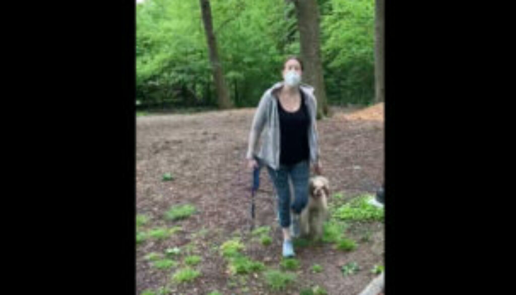 Screenshot of video of Amy Cooper posted on twitter by @melodyMcooper.