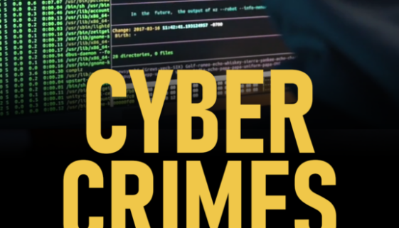 Cybercrime Charges and How to Defend Yourself