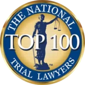 ntlb-top100